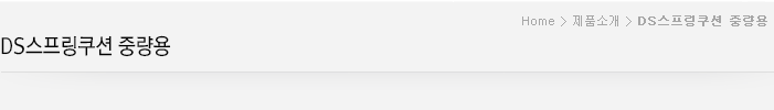 DS스프링쿠션 중량용